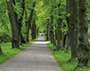 Schlosspark Belvedere in Weimar